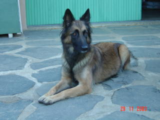 Scully du Jardin du Malézy