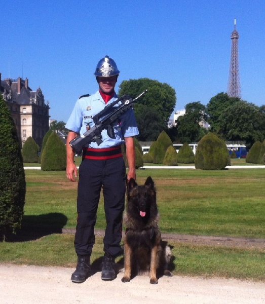 Chiens de Sauvetage